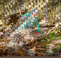 Fox Superflow sealed by Stan's Race  Ourimbah - Hotel Accommodation