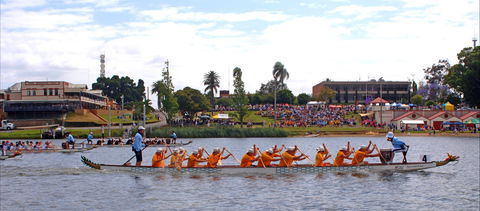 Jacaranda Dragon Boat Races - Hotel Accommodation 0