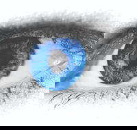 Joe Orton's What the Butler Saw - Hotel Accommodation