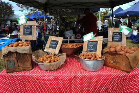 Lawson Park Markets - Hotel Accommodation 0