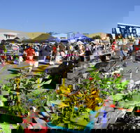 Maclean Community Monthly Markets - Hotel Accommodation