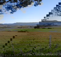 Milton Village Showground Markets - Hotel Accommodation