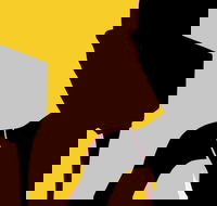 Naked Classics Fantastic Symphonies - Hotel Accommodation