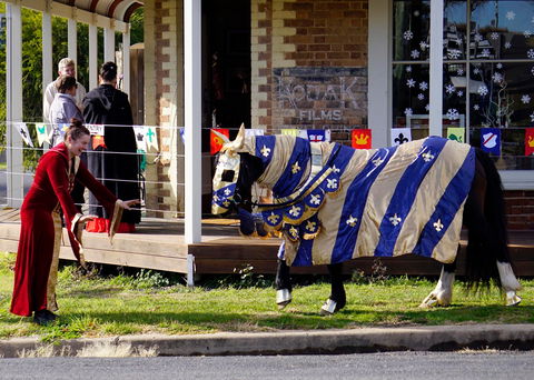 Newbridge Winter Solstice Festival - Hotel Accommodation 2