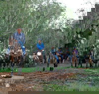 Night Horse Ride and Dinner - Hotel Accommodation