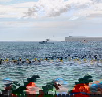 Nowra Toyota triHusky Huskisson Triathlon Festival Little Husky - Hotel Accommodation