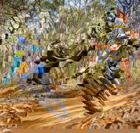 NSW State Downhill Mountain Bike Championships - Hotel Accommodation
