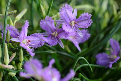 Our Campbelltown - Hotel Accommodation 0