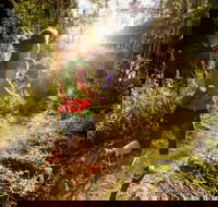 Run Dungog - Hotel Accommodation