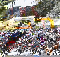 Snowies MTB Festival - Hotel Accommodation