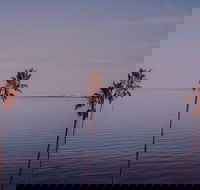 Sunset Streaming Live DJ Streams - Hotel Accommodation