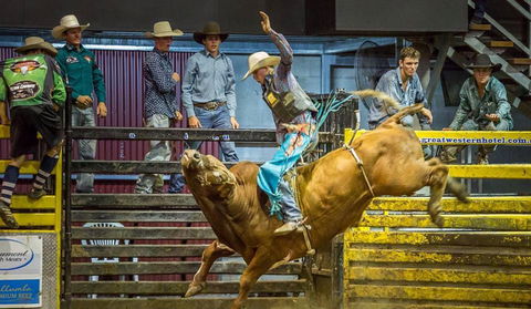 Top Gun And Young Gun Series Round 7 - Hotel Accommodation 0