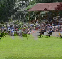 Tumut Derby Day - Hotel Accommodation