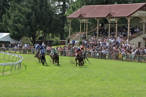 Tumut Derby Day - Hotel Accommodation 0