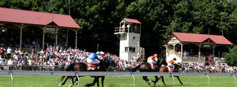 Tumut Derby Day - Hotel Accommodation 1