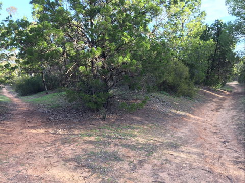 Victoria Park Moonta Monthly Walks - Hotel Accommodation 1