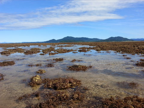 Walk To The Reef - Hotel Accommodation 0