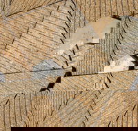 WA Now  Tom Mller Monolith Scores - Virtual Exhibition - Hotel Accommodation