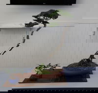 Wauchope Bonsai Workshop Group - Hotel Accommodation