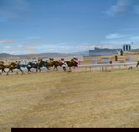 Adaminaby Cup Race Day - Hotel Accommodation