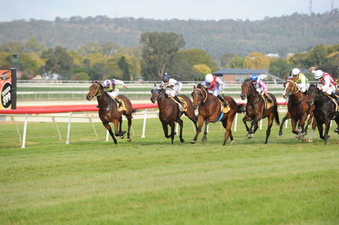 Aggies Race Day - Hotel Accommodation 0