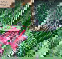 Albury Wodonga Farmers Market - Hotel Accommodation