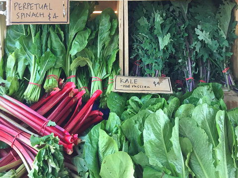 Albury Wodonga Farmers Market - Hotel Accommodation 0