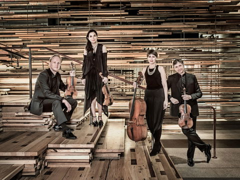 Australian String Quartet Plays Late Beethoven - Hotel Accommodation 2