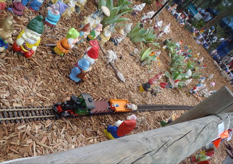 Australia Day With The Australian Gnome Convention Glenbrook - Hotel Accommodation 2
