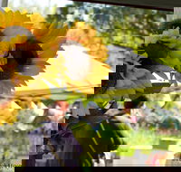 Blackville Arts and Market Day - Hotel Accommodation