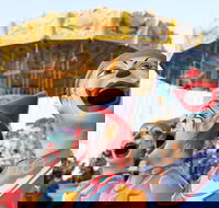 Campbelltown City Festival of Fisher's Ghost - Hotel Accommodation