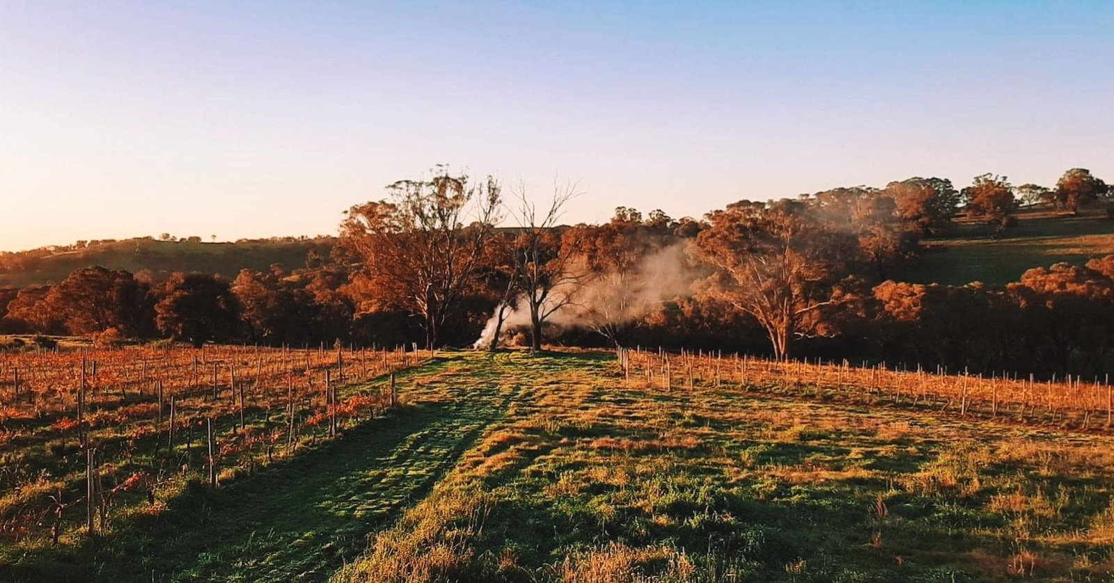 Lidster NSW Hotel Accommodation