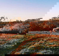 Cargo Road Wines Grande Fiamma - Hotel Accommodation