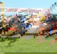 Casino Cup - Hotel Accommodation