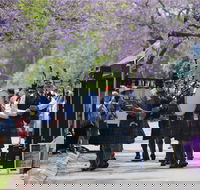 Celtic Festival of Queensland - Hotel Accommodation