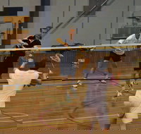 Charlton Badminton Club Ladies Tournament - Hotel Accommodation