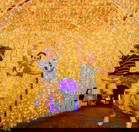 Christmas Lights Spectacular New Year's Eve at Hunter Valley Gardens - Hotel Accommodation