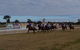 Corowa Horseraces - thumb 0