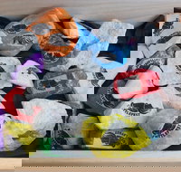 Cuttle-Rock Challenge - CUTTLEFEST 2020 - Whyalla - Hotel Accommodation