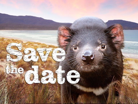 Cygnet Market - Hotel Accommodation 0