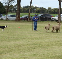 Dean Sheepdog Trials - Old Sniff Classic - Hotel Accommodation