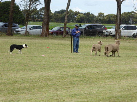 Dean Sheepdog Trials - Old Sniff Classic - Hotel Accommodation 0