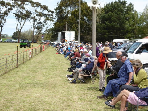 Dean Sheepdog Trials - Old Sniff Classic - Hotel Accommodation 1