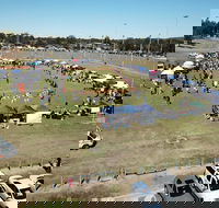 Dogs In the Park Swansea - Hotel Accommodation