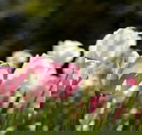 Floriade Reimagined - Hotel Accommodation