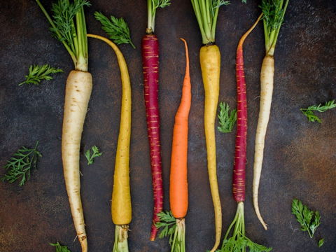 Food For Good Festival - Hotel Accommodation 0