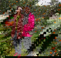 Fruit Taste Adventure Tours - Hotel Accommodation