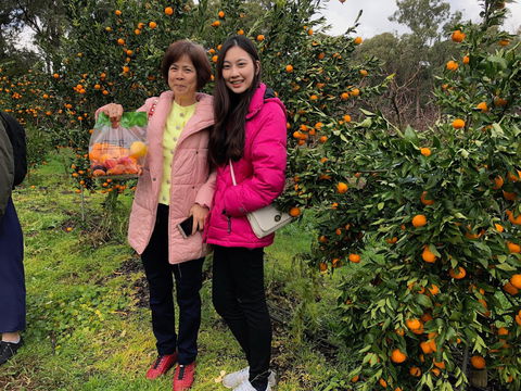 Fruit Taste Adventure Tours - Hotel Accommodation 0
