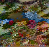 Glenrock Gardens Open Garden - Hotel Accommodation