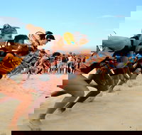 Henry Blooms Bondi Barefoot - Hotel Accommodation